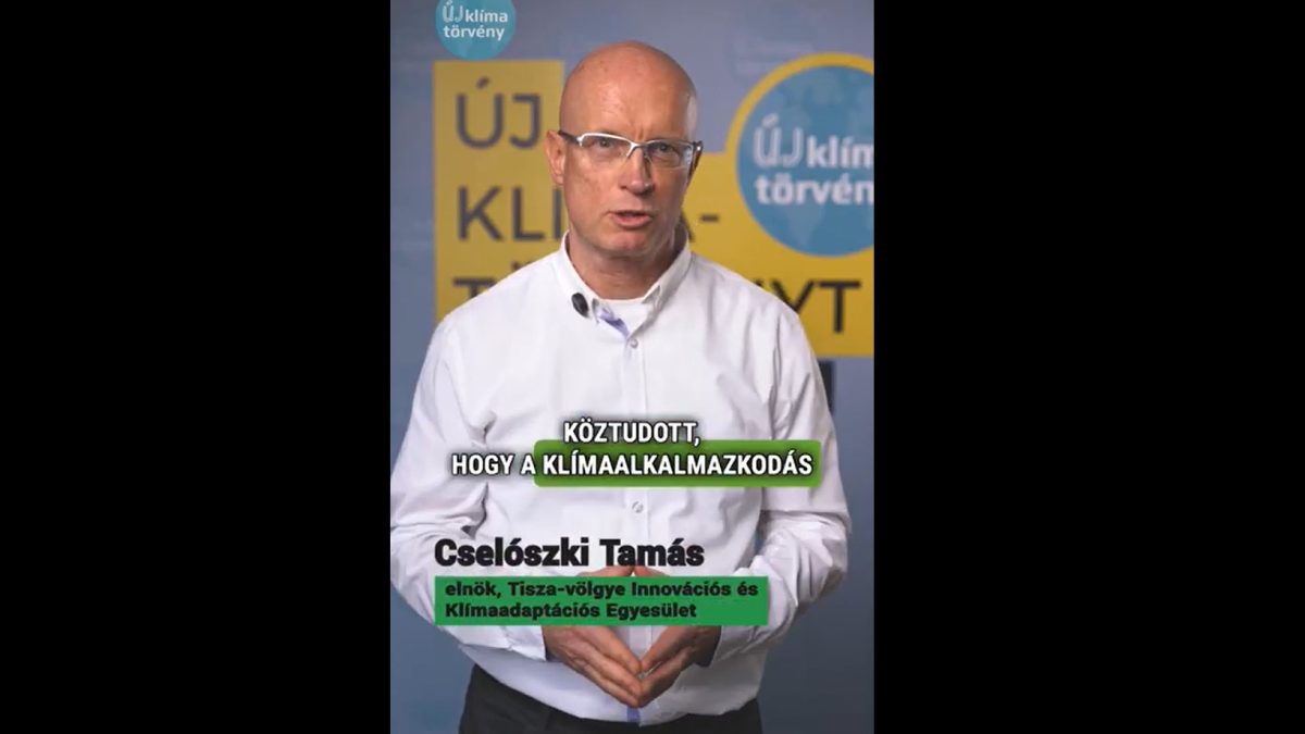Cselószki Tamás