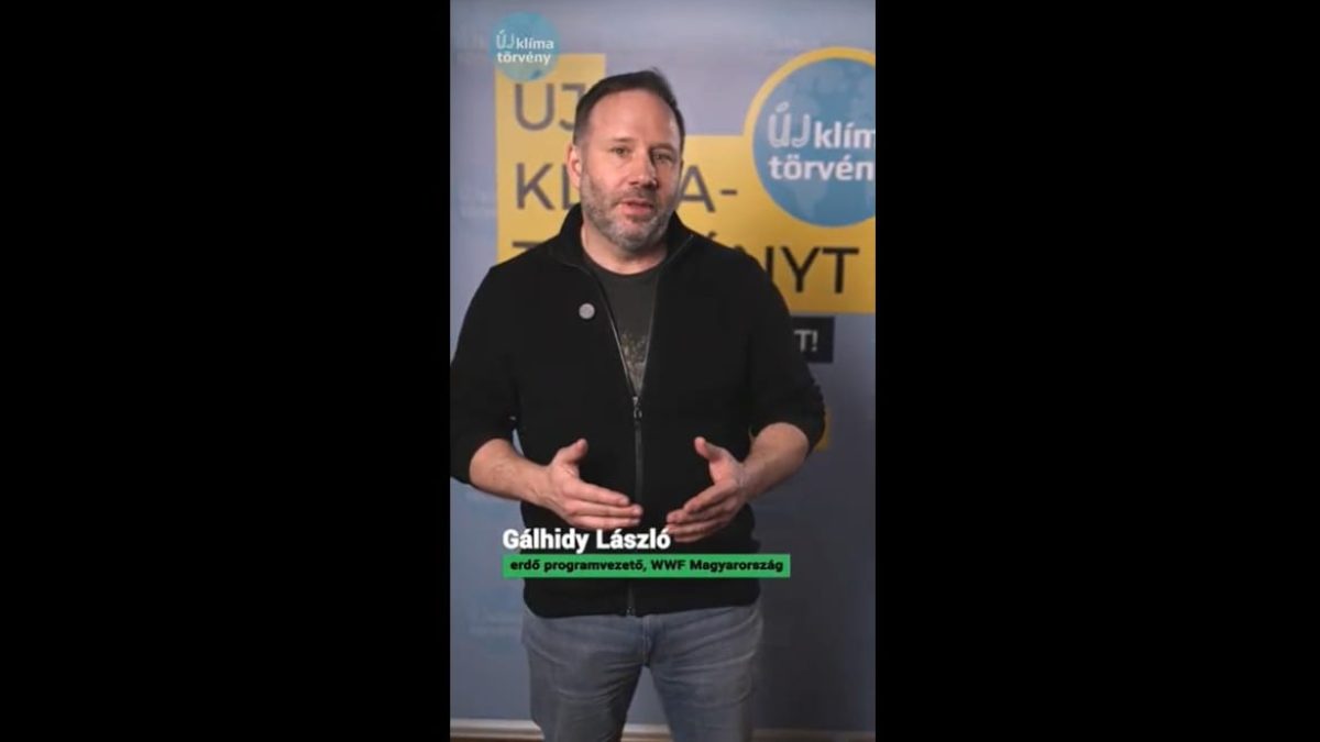 galhidi_laszlo_cover