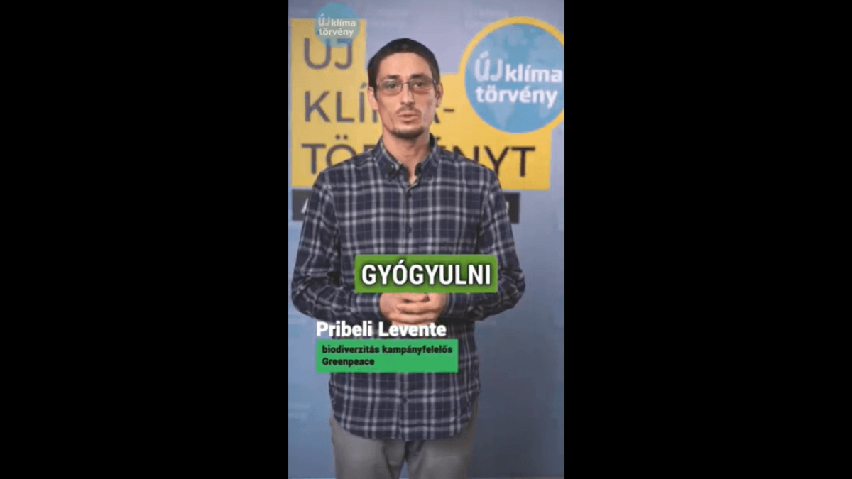 pribeli-cover